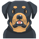 کلینیک دامپزشکی ساران 14 icons8 dog 128 1