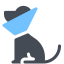 کلینیک دامپزشکی ساران 17 icons8 dog cone 64