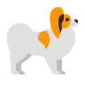 کلینیک دامپزشکی ساران 19 icons8 papillon dog 96