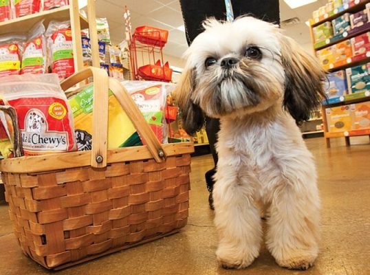 پت شاپ در شهرك گلستان ( منطقه 22 ) 5 پت شاپ در شهرک گلستان ( منطقه 22 )